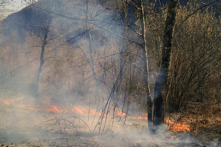 Vatrogasci se bore sa požarima u Grčkoj