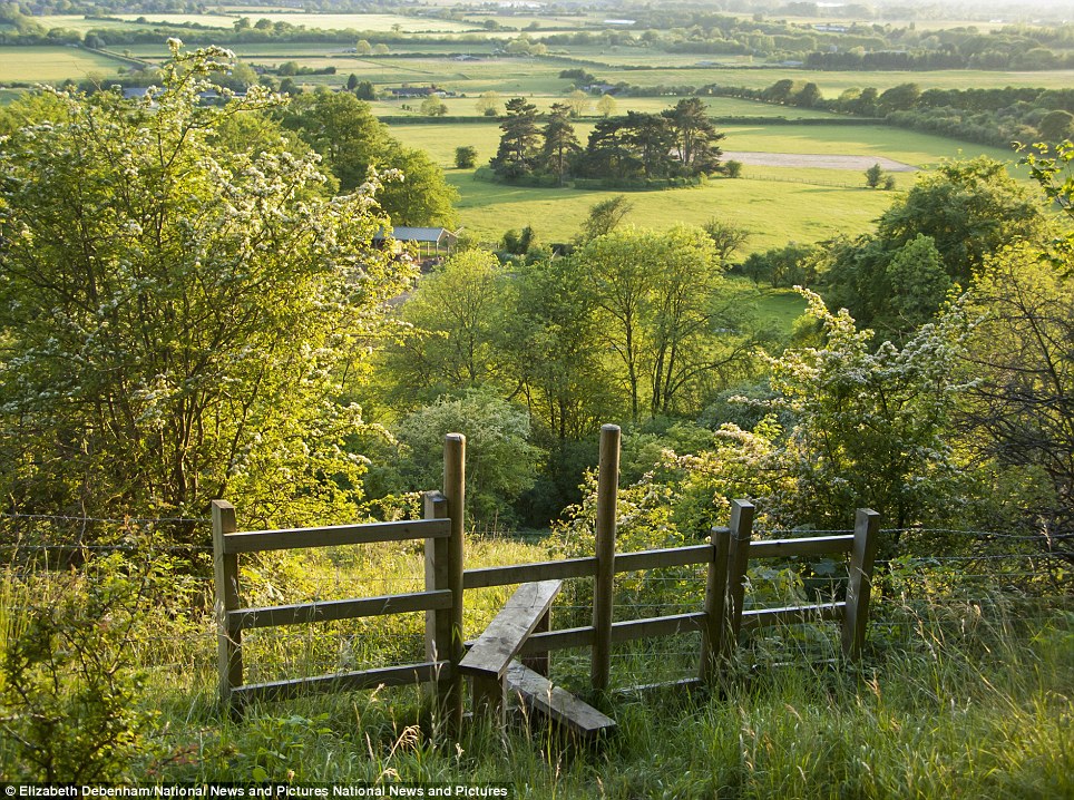 Country life. British Country Life. Simone countryside photo.