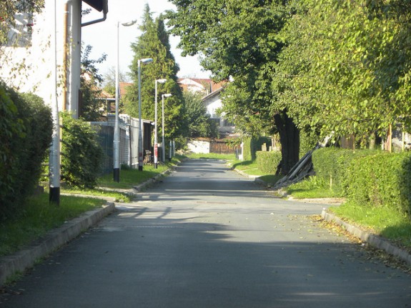 budzak