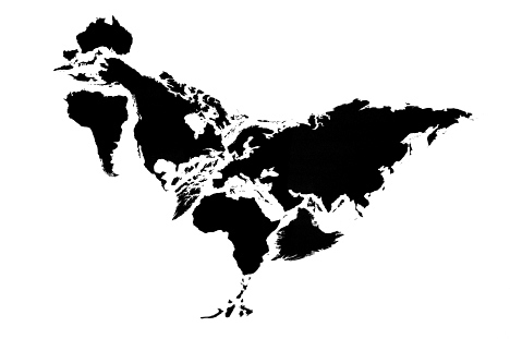 world chicken