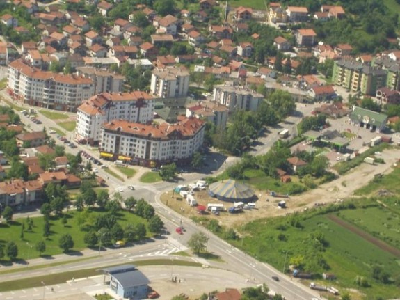 starcevica