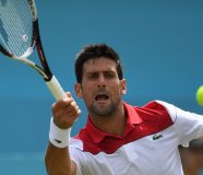 novak