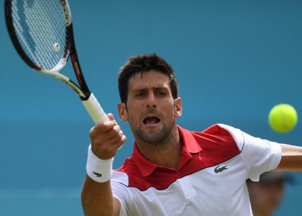 novak