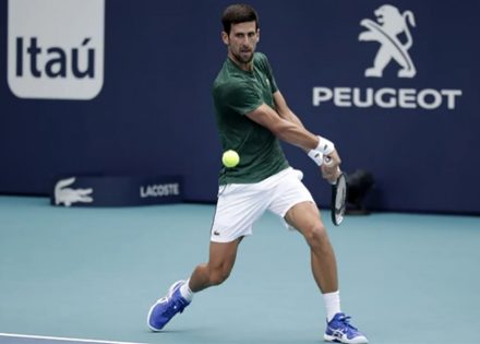 novak